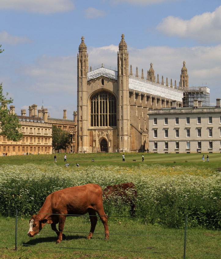 Oxford